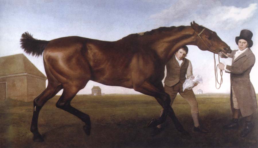 George Stubbs hambletonian,rubbing down